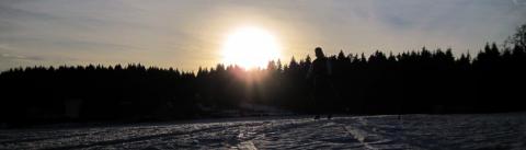 Langlaufimpressionen