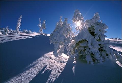 Wintertraum Wintertraum